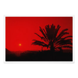 Alargamento de Fotografias