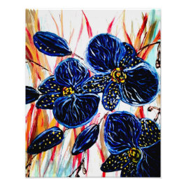 Alargamento de Fotografias