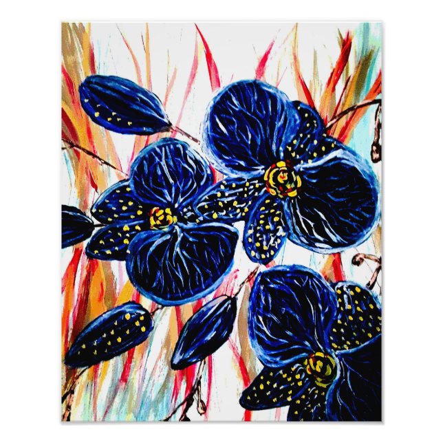 Alargamento de Fotografias (Frente)