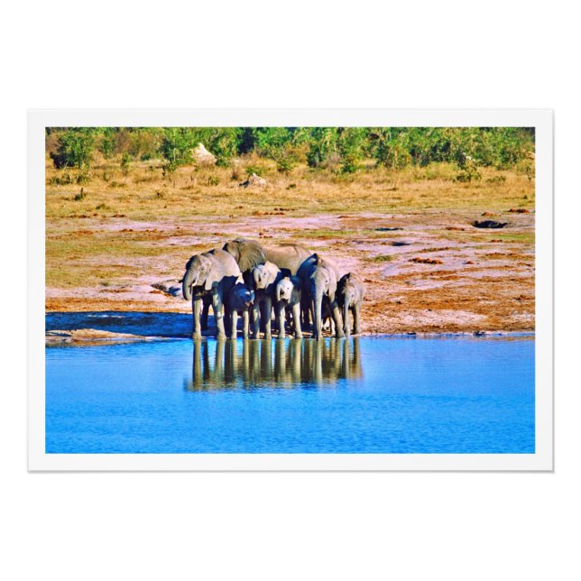 Alargamento de Fotografias (Frente)