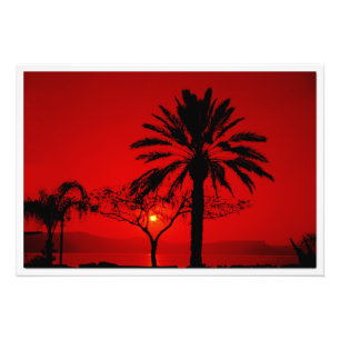 Alargamento de Fotografias