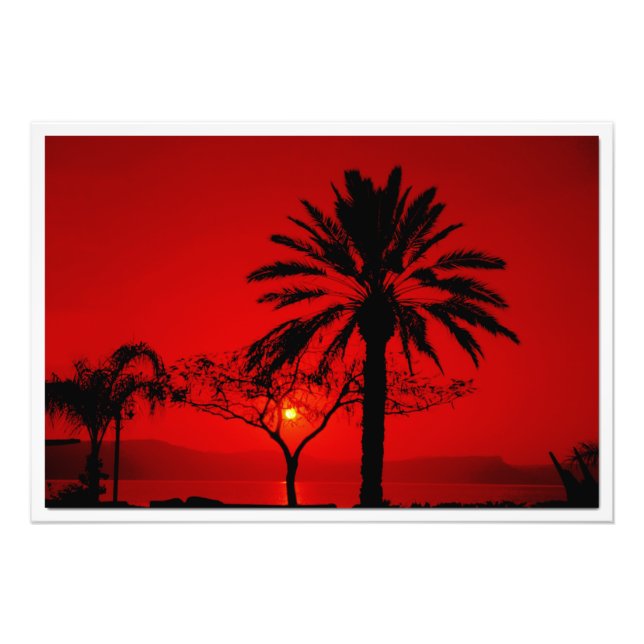 Alargamento de Fotografias (Frente)