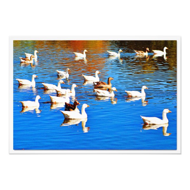 Alargamento de Fotografias (Frente)