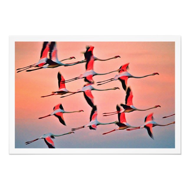 Alargamento de Fotografias (Frente)