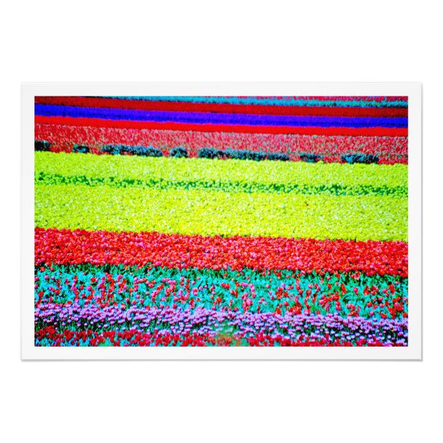 Alargamento de Fotografias (Frente)