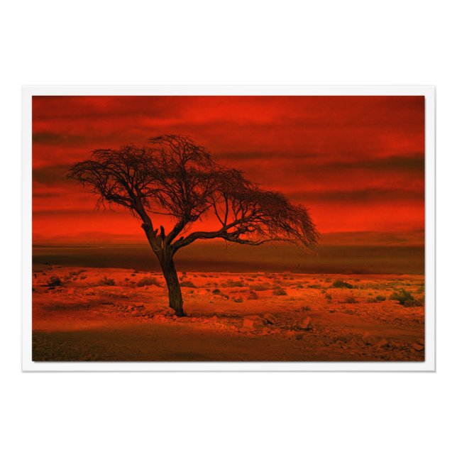 Alargamento de Fotografias (Frente)