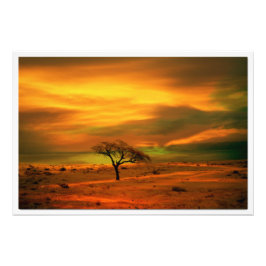 Alargamento de Fotografias