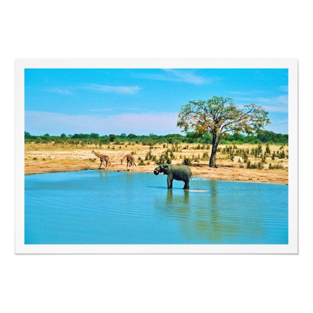 Alargamento de Fotografias (Frente)