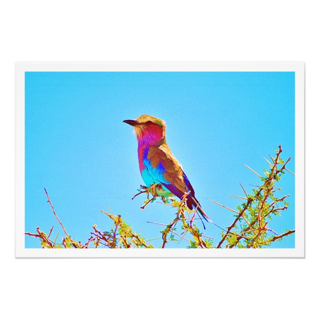 Alargamento de Fotografias (Frente)