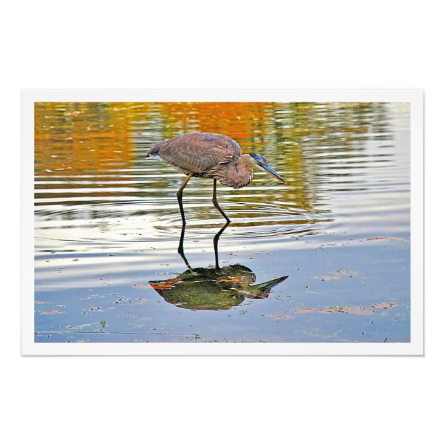 Alargamento de Fotografias (Frente)