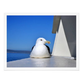 Alargamento de Fotografias