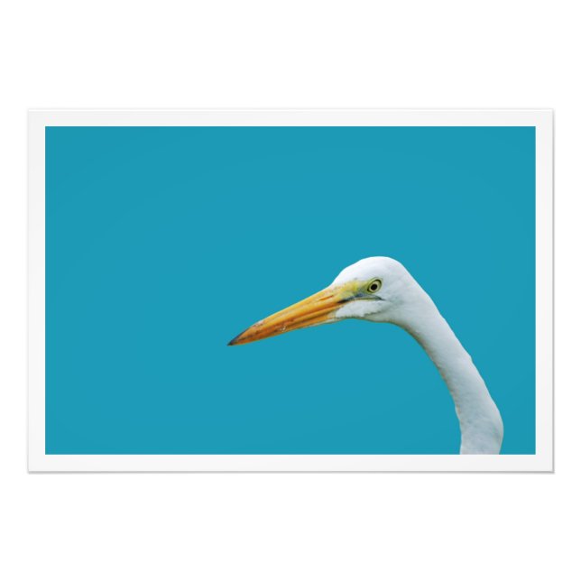 Alargamento de Fotografias (Frente)