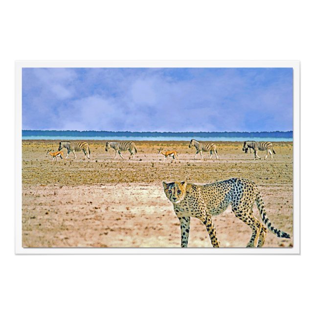 Alargamento de Fotografias (Frente)