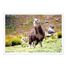 Alargamento de Fotografias