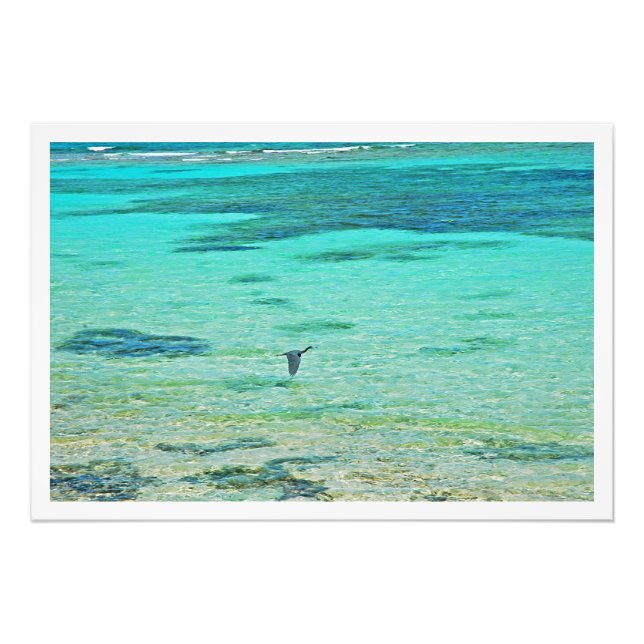 Alargamento de Fotografias (Frente)