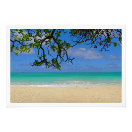 Alargamento de Fotografias