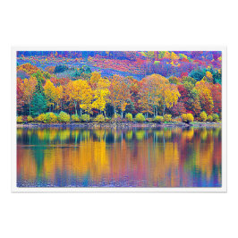 Alargamento de Fotografias