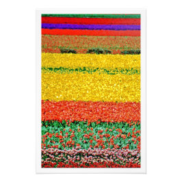 Alargamento de Fotografias