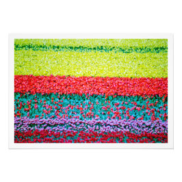 Alargamento de Fotografias