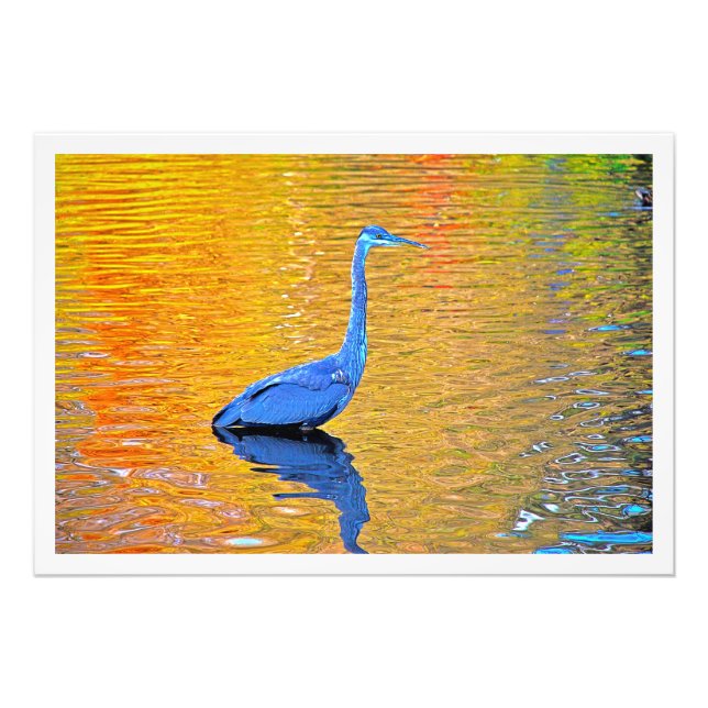 Alargamento de Fotografias (Frente)