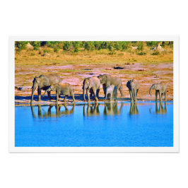 Alargamento de Fotografias