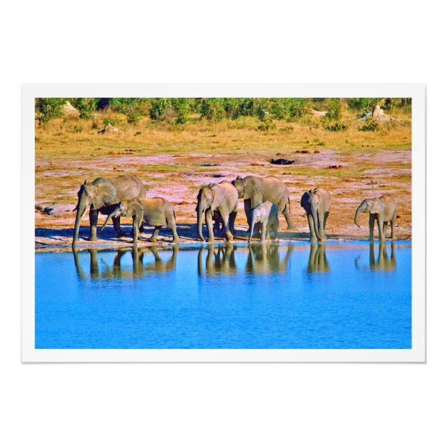 Alargamento de Fotografias (Frente)