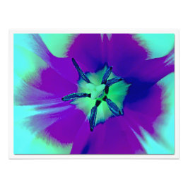 Alargamento de Fotografias