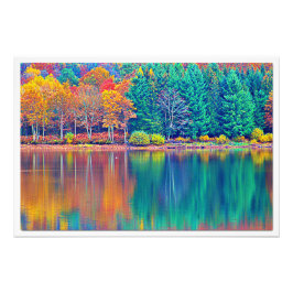 Alargamento de Fotografias