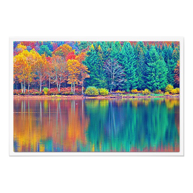 Alargamento de Fotografias (Frente)