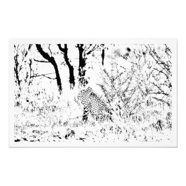 Alargamento de Fotografias (Frente)