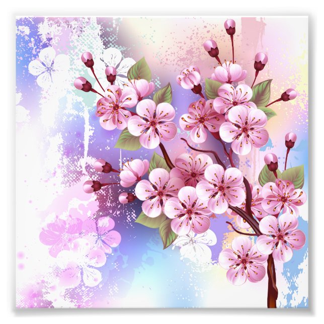 Alargamento de Fotografias (Frente)