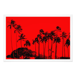 Alargamento de Fotografias