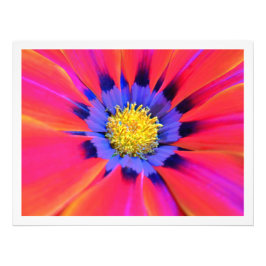 Alargamento de Fotografias