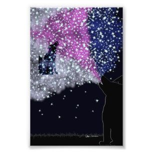 Alargamento de Fotografias