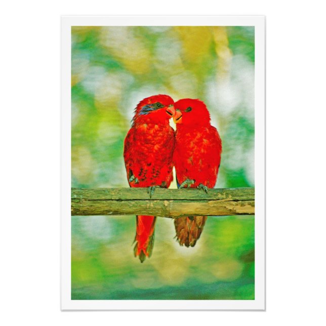 Alargamento de Fotografias (Frente)