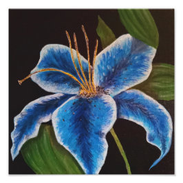 Alargamento de Fotografias