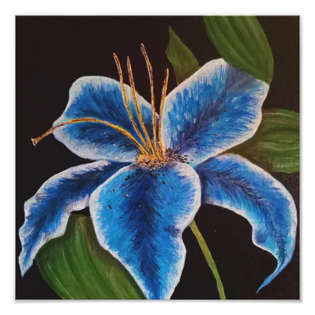 Alargamento de Fotografias (Frente)