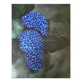 Alargamento de Fotografias