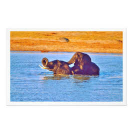 Alargamento de Fotografias