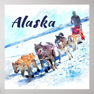 Alaska (AK) Uma equipe de cães de trenó - Poster d