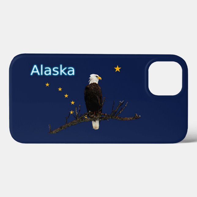 Alaska Eagle E Flag (Verso (horizontal))