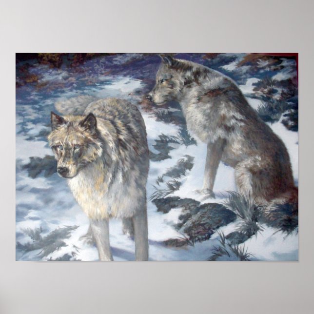 Alaska Wolf Pair na poster de inverno (Frente)