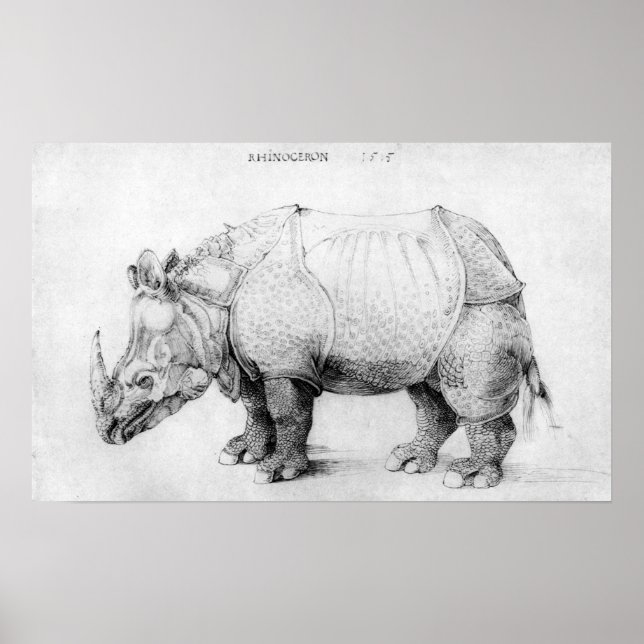 Albrecht Durer Rhinoceros Poster (Frente)