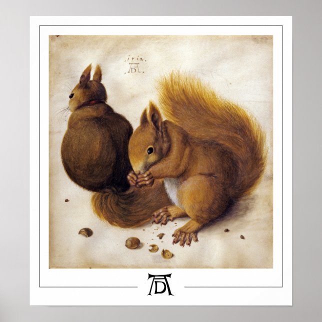 Albrecht Dürer Zedign Art Poster nº 56 (Frente)