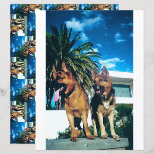 álbum de german shepherd de 2 lados