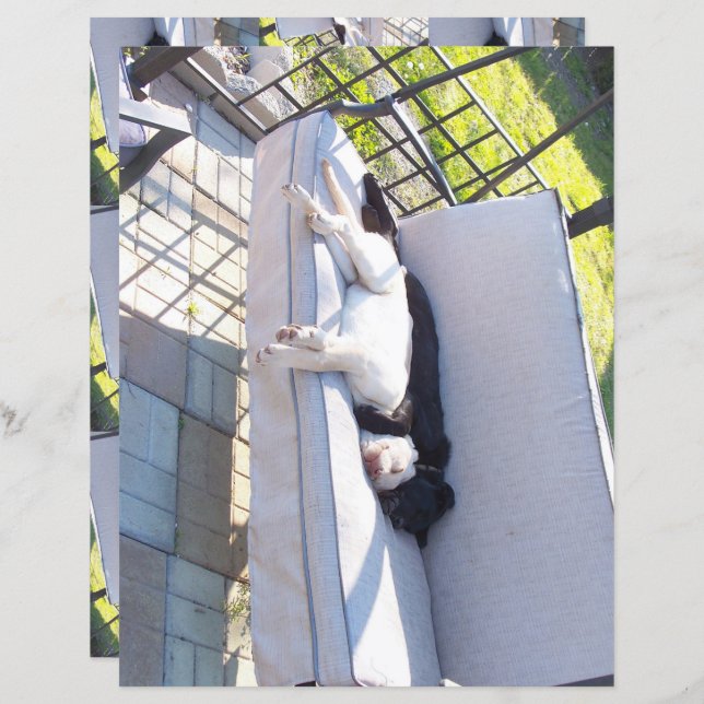 álbuns para dormir de grupos de laboratório (Frente/Verso)