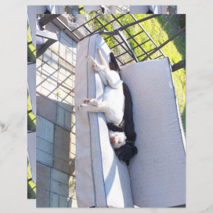 álbuns para dormir de grupos de laboratório