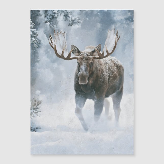 Alce Macho Caminhando pela Neve Boreal (Frente)