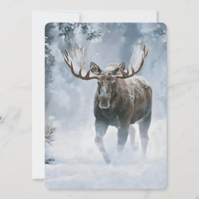 Alce Macho Caminhando pela Neve Boreal (Frente)