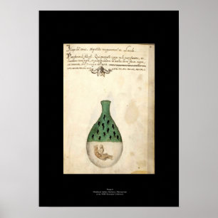 Alchemy Poster Plate 4 Medieval italiana
